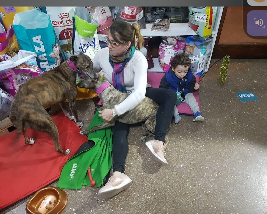 Vanina con Joaqui bebé y nuestras galgas Bonnie y Titi en Huellas MDQ Mar del Plata Argentina